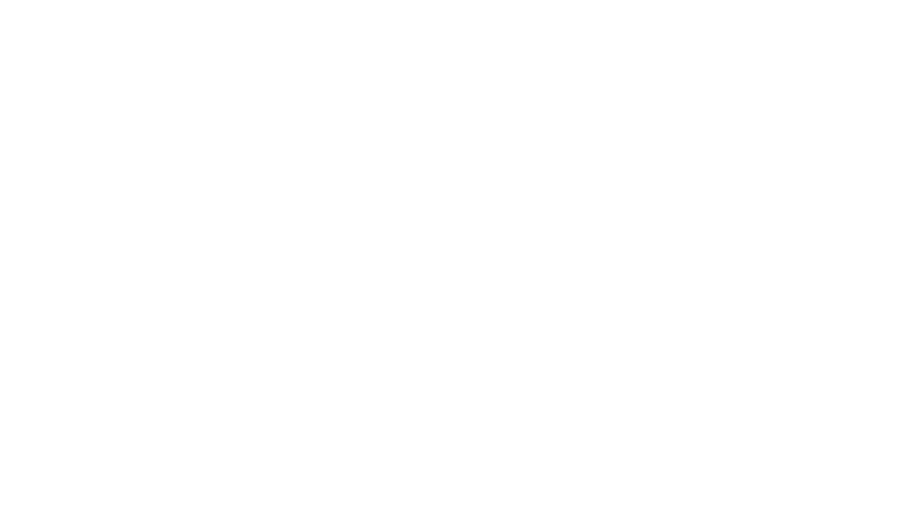 logo drammens port-og gjerdefabrikk hvit